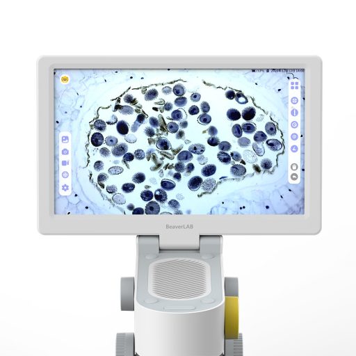 BeaverLAB Darwin MX digital microscope