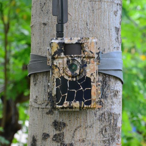 Willfine Trailcam 80° Pro 5.8 E-mail