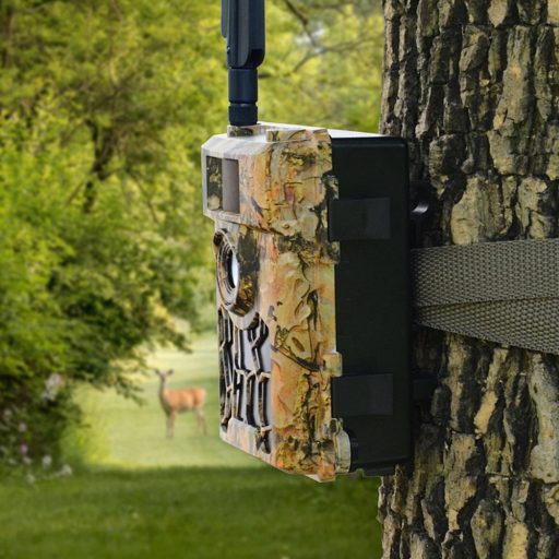 Willfine Trailcam 80° Pro 5.8 E-mail