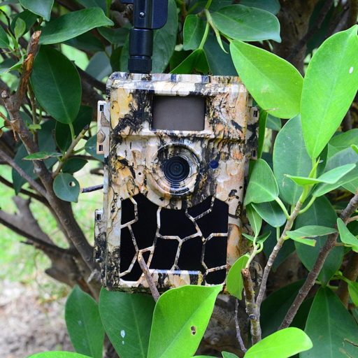 Willfine Trailcam 80° Pro 5.8 E-mail