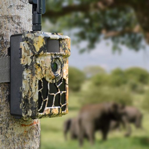 Willfine Trailcam 80° Pro 5.8 E-mail